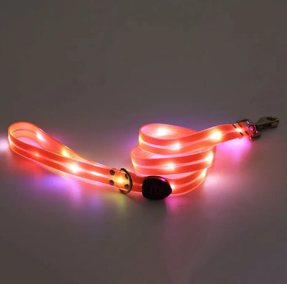 Rechargeable LED Pet Collar with Nylon Leash