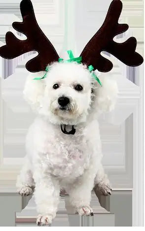 Christmas Headwear Accessories for Dogs and Cats