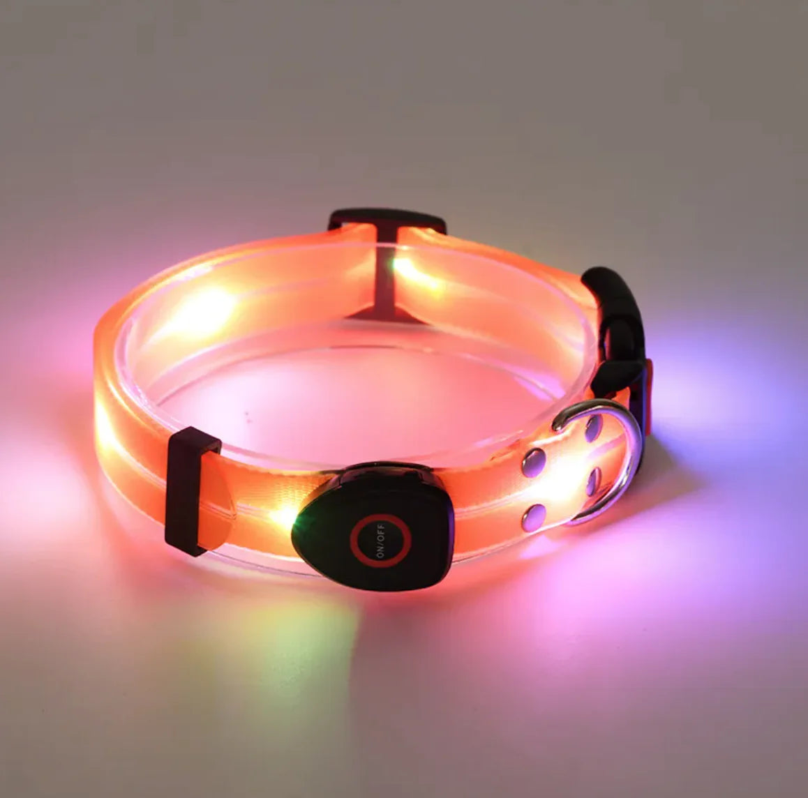 Rechargeable LED Pet Collar with Nylon Leash