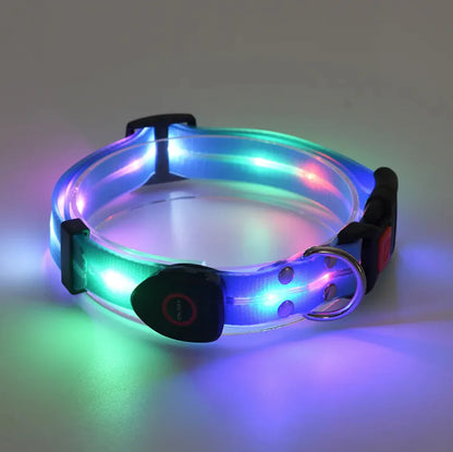 Rechargeable LED Pet Collar with Nylon Leash